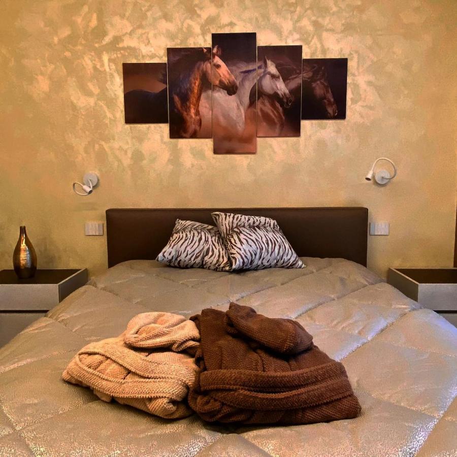 Nuova Residenza Porta Nuova Winehorse Vérone Extérieur photo